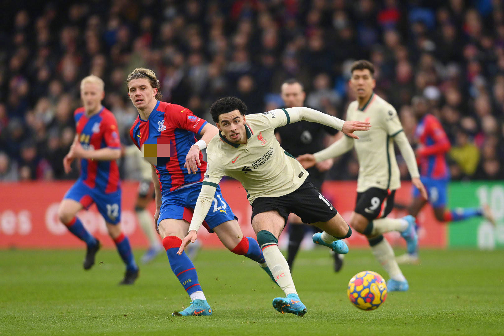 败的国际引 败的国际引